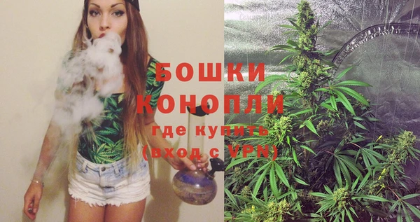 индика Баксан