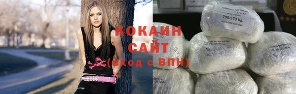 индика Баксан