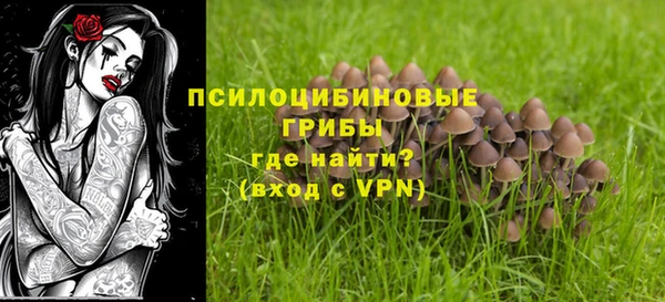 индика Баксан