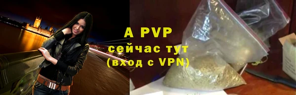 индика Баксан