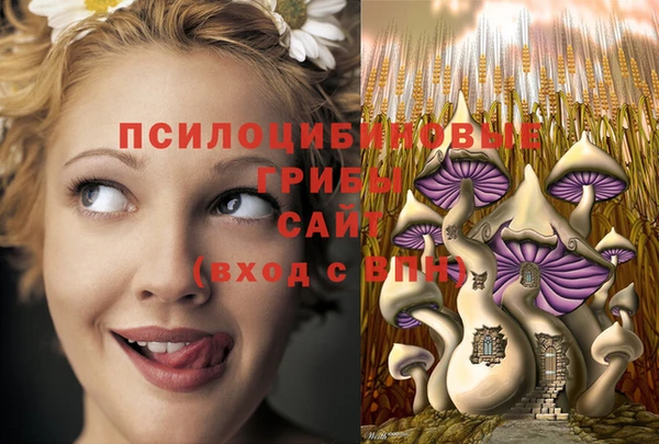 индика Баксан