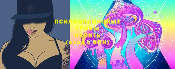 индика Баксан