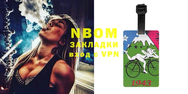 индика Баксан