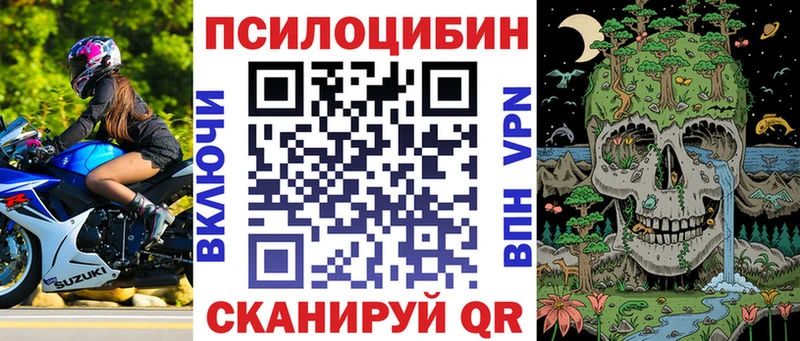 магазин    Пудож  Псилоцибиновые грибы мицелий 